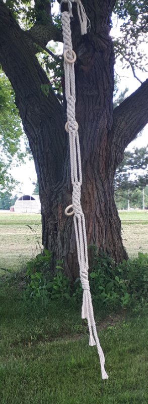 36" Air Plant Hanger - With Hoops